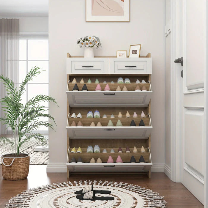 Zapatos Organizador con 3 Puertas y 2 Cajones: Compra 1 y llévate 2